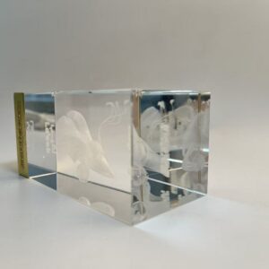 Crystal laser engraving Crystal Cube World Cup with Internal Engraving