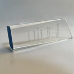 Crystal Trophy Crystal Trophy